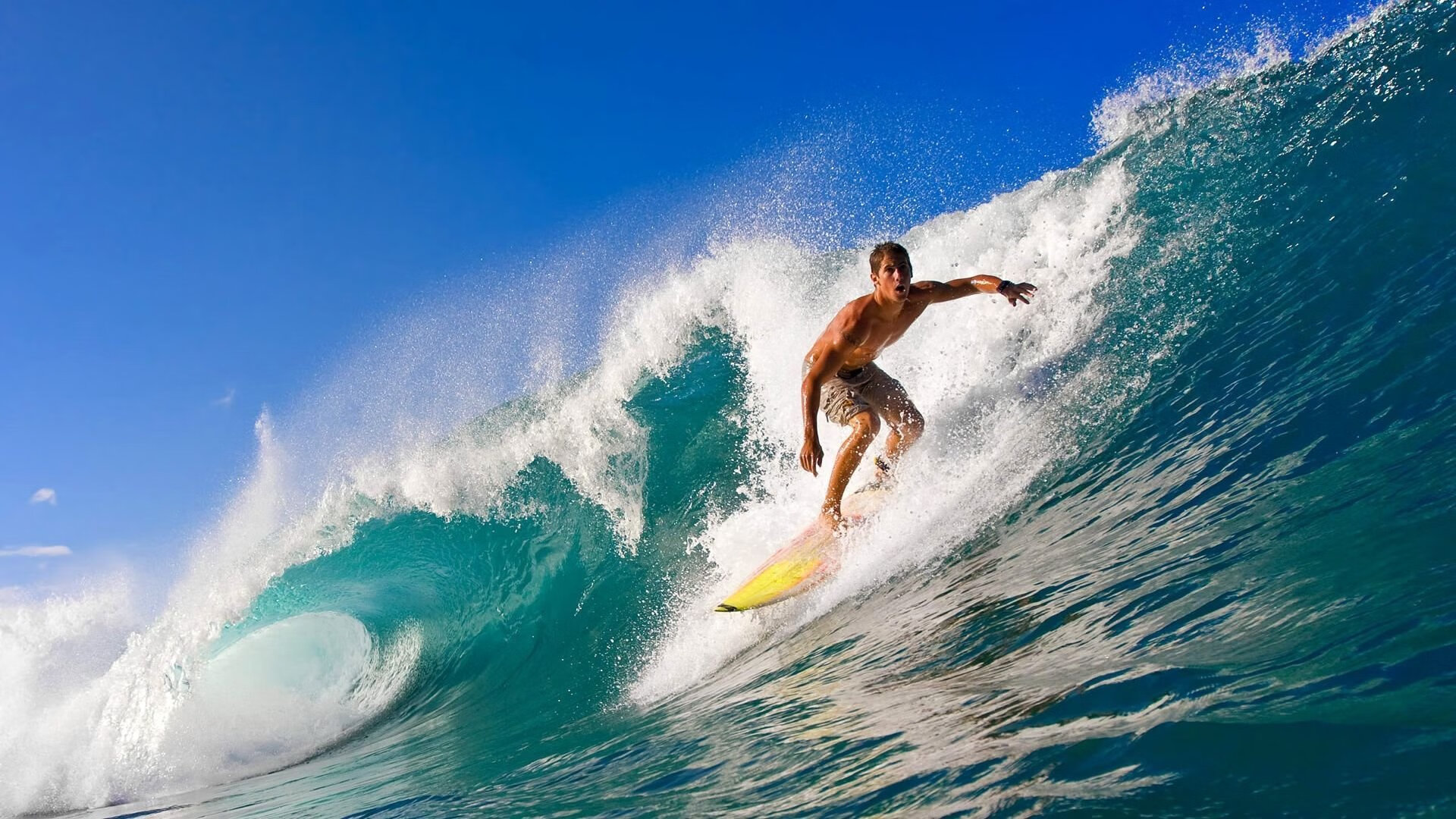 中国高校体育运动会开幕，项目丰富精彩纷呈，全国高校体育