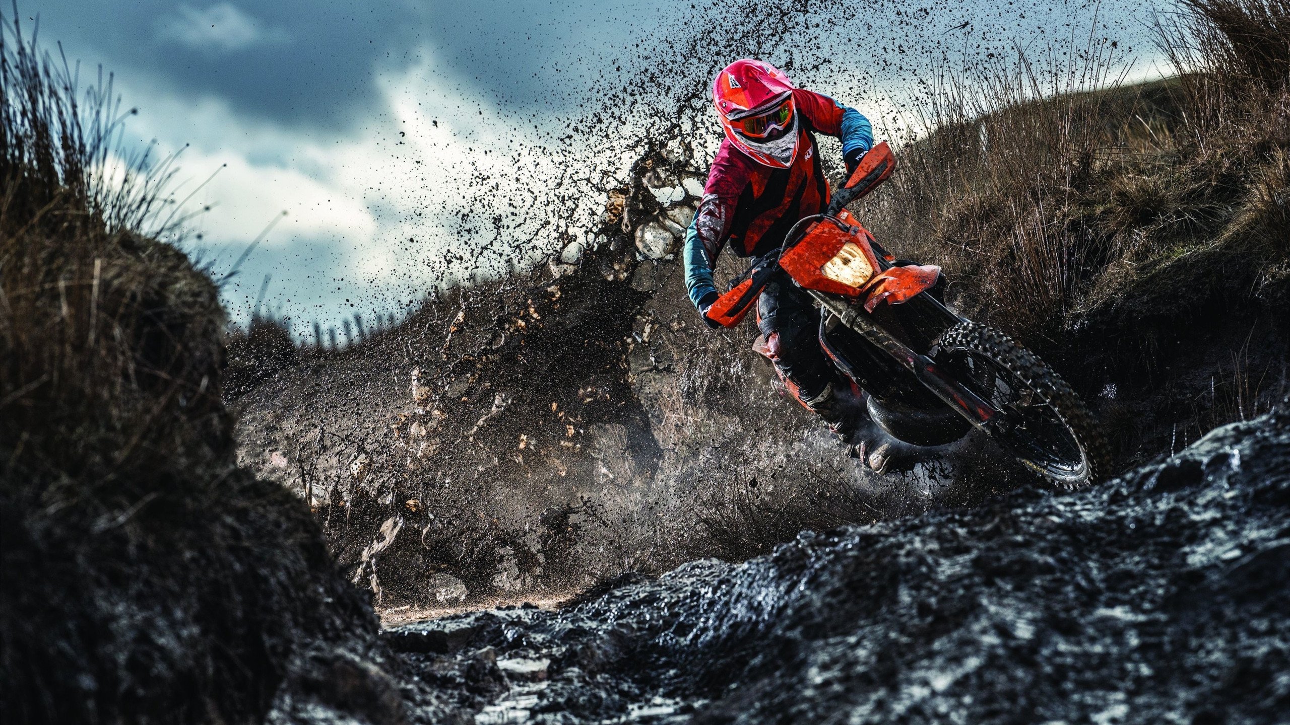 从观众角度：最期待的比赛场景，比赛中观众的作用